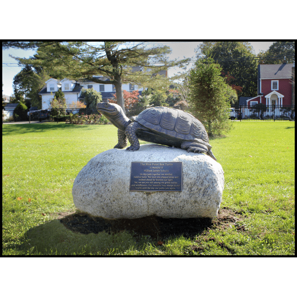 photo of bronze-colored sculpture of turtle with head raised on rock with bronze-colored plaque in park setting