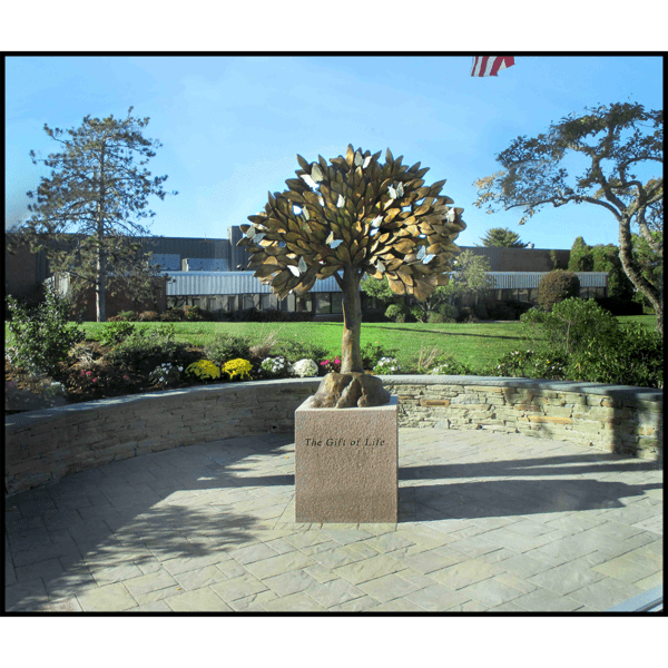 photo of bronze-colored tree sculpture on granite base in hardscaped plaza surrounded by landscaping with building in background