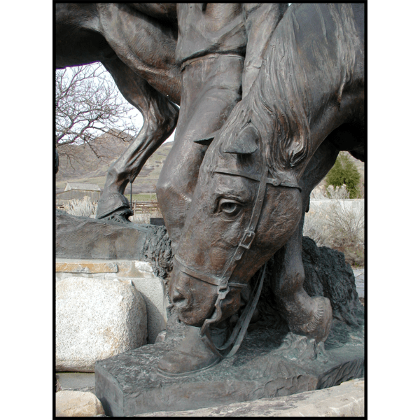 detail photo of bronze sculpture of horse drinking water in a plaza