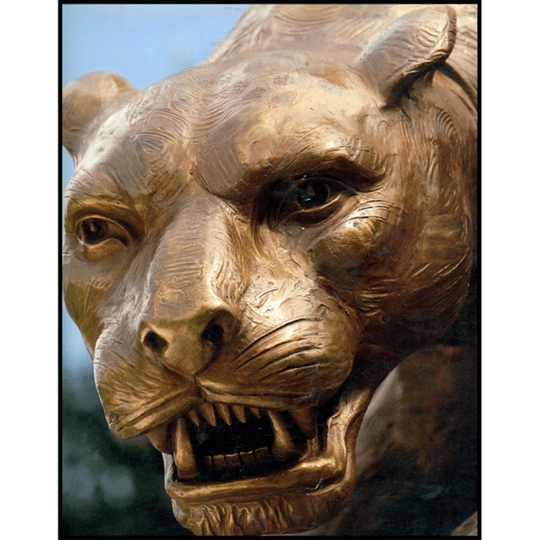 closeup photo of face of bronze leopard sculpture